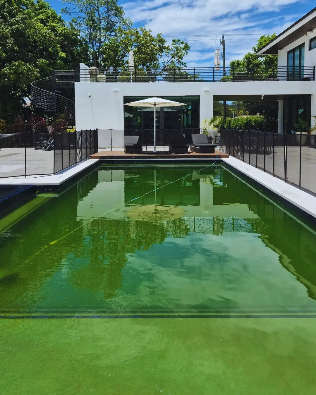 Before Pool Mainteinance Service in Miami Florida