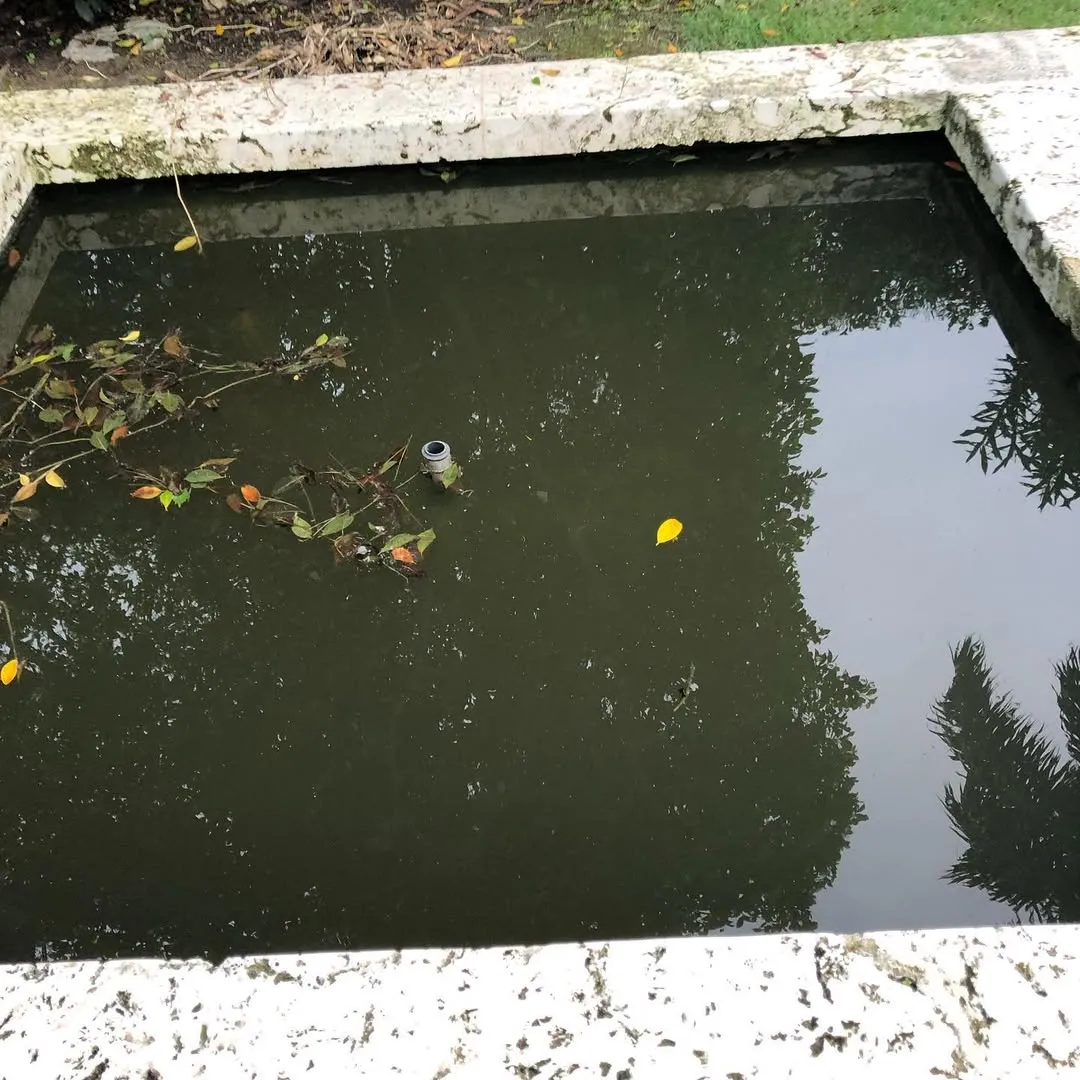 Before pool fountain cleaning service client 06