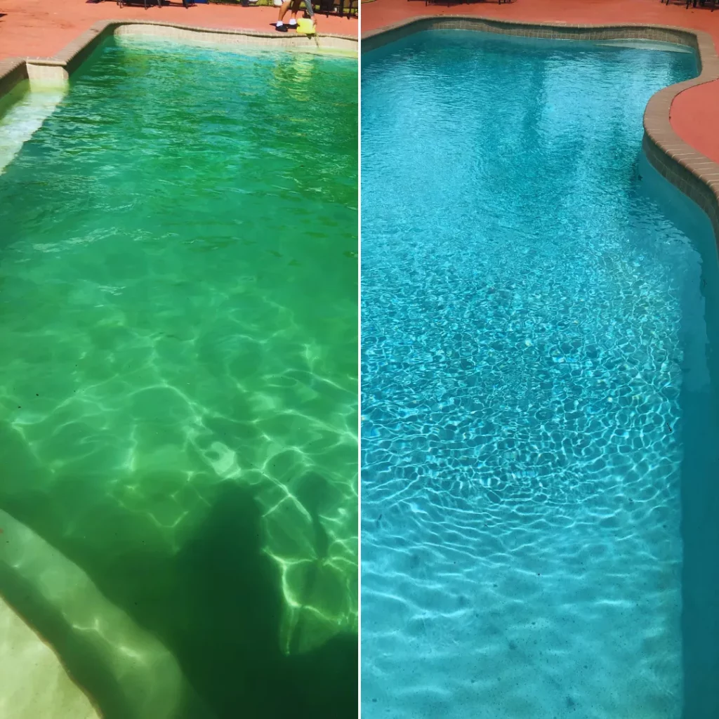 Green Pool Cleaning Before and After in Country Walk