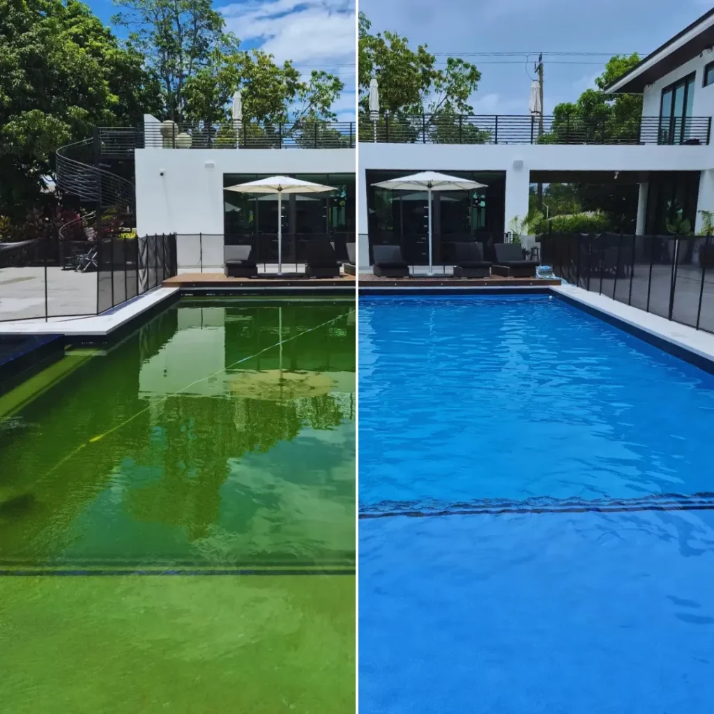 Green Pool Cleaning Before and After in Miami Beach