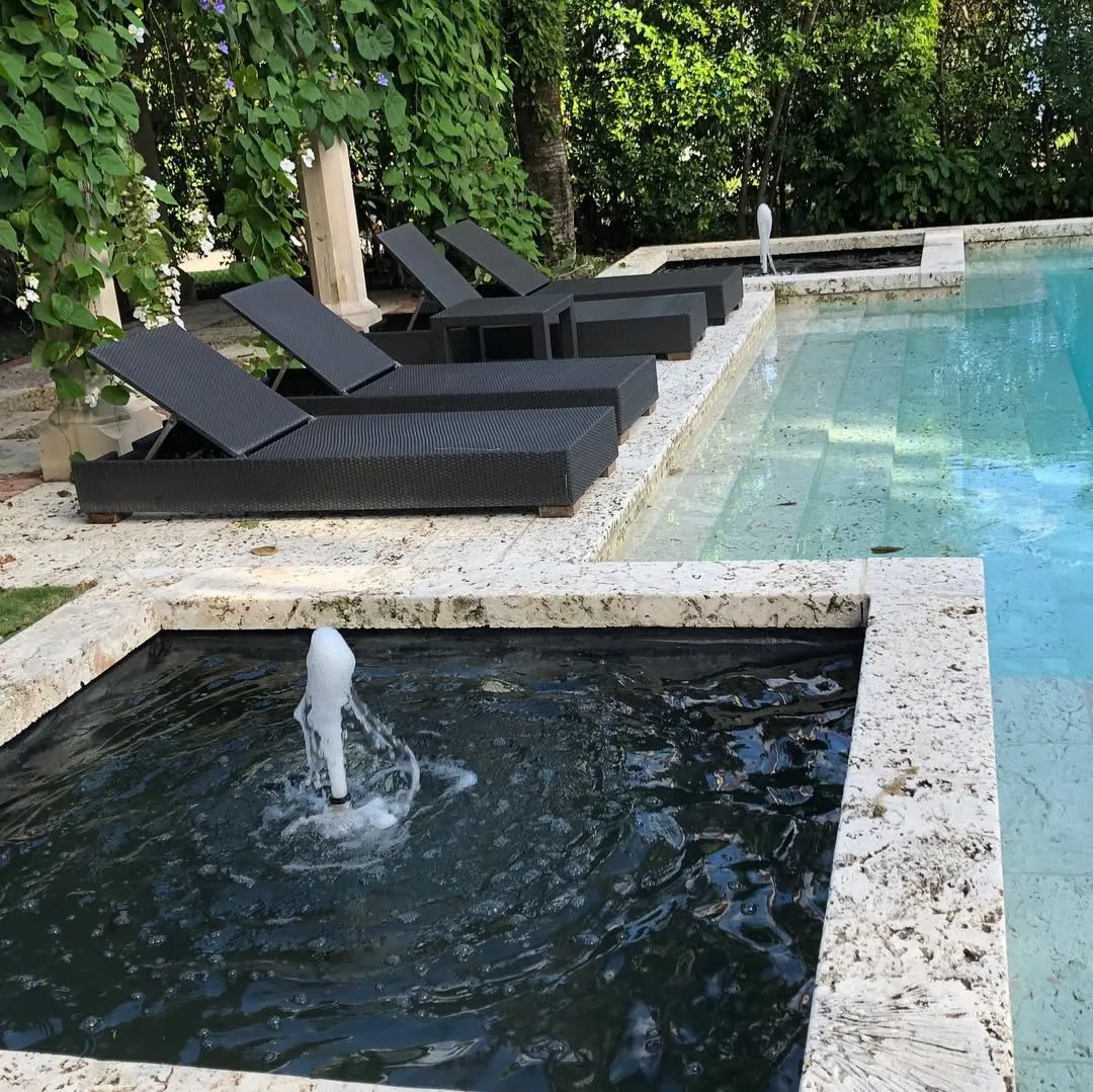 Pool and fountain cleaning service