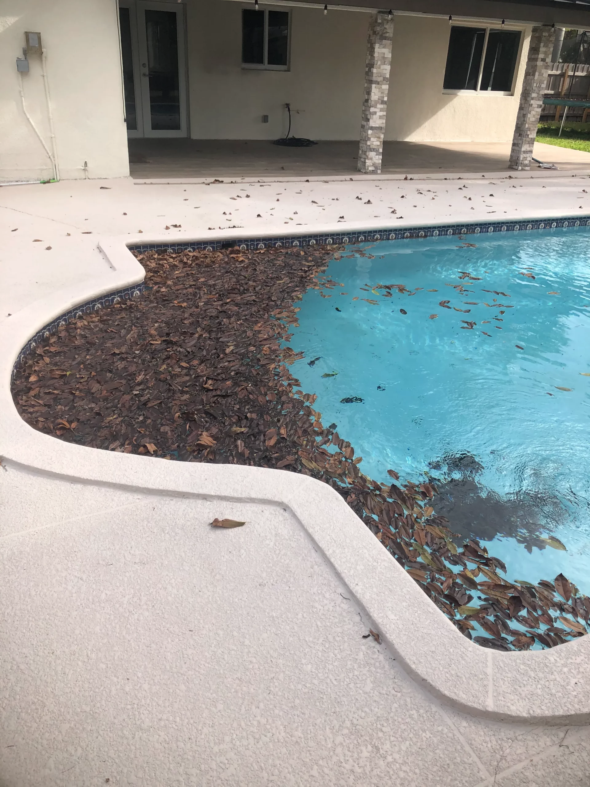 pool debris cleaning miami dade