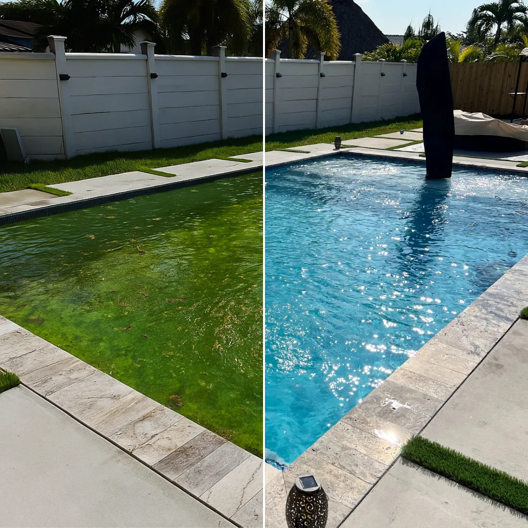 green pool transformation near mendoza avenue coral gables