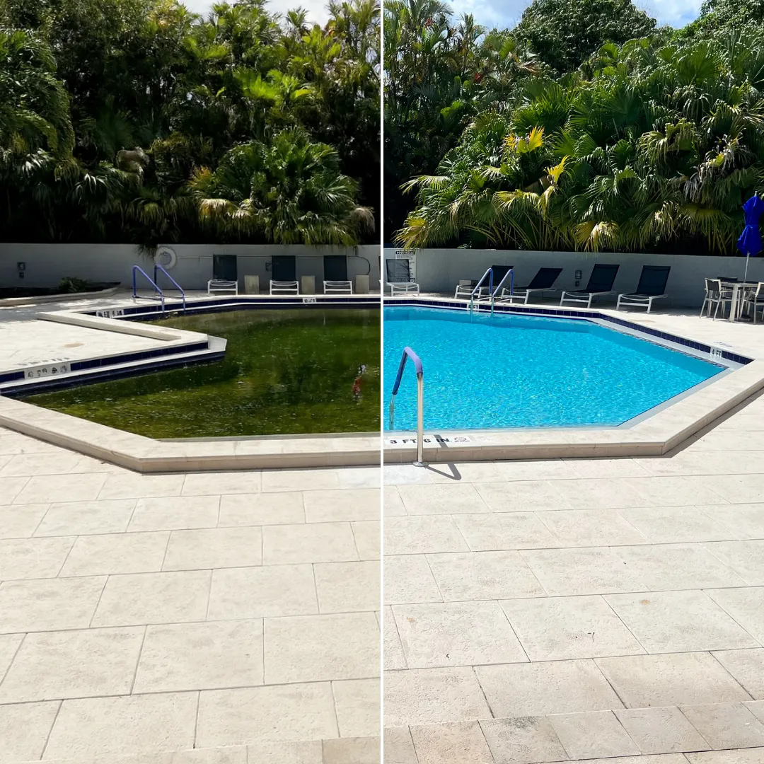 green to clean pool in miami beach