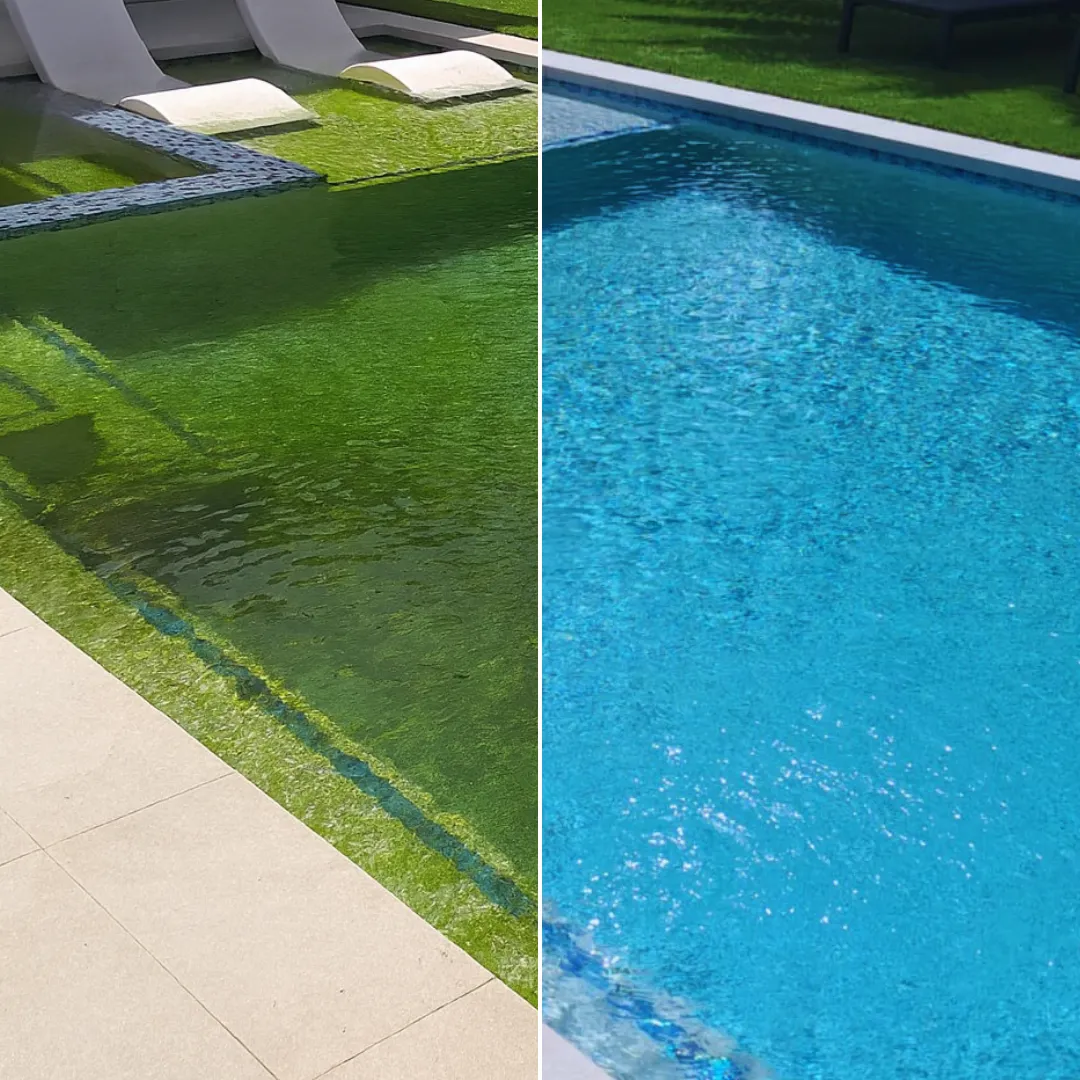 green to clean pool service in kendale lakes