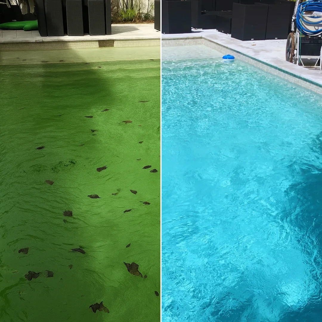 pool cleaning from green to clean near university in doral