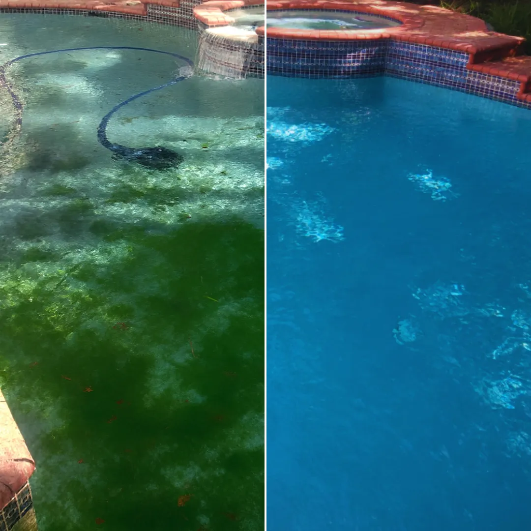 pool cleaning service in fountainebleau miami fl