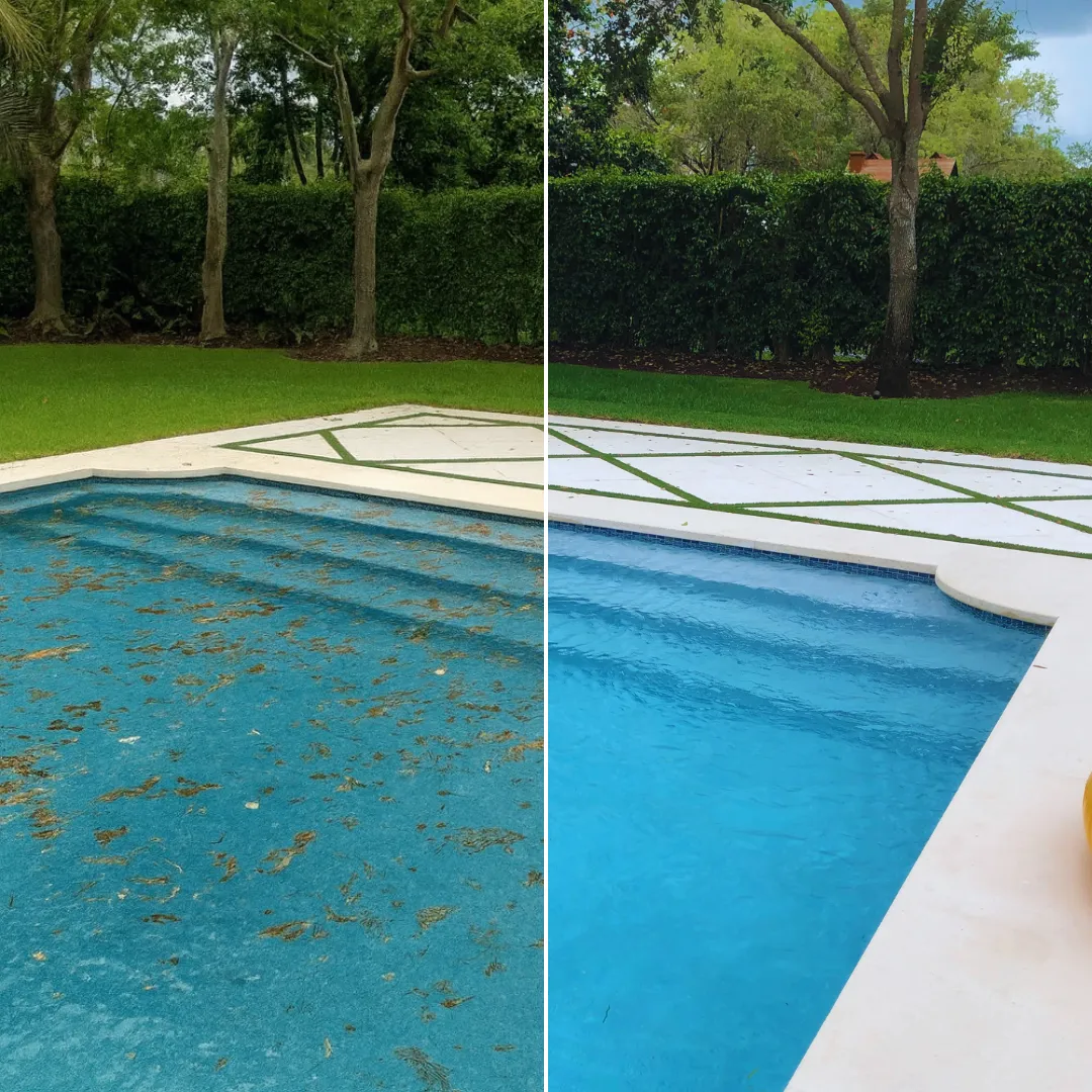 pool cleaning service near homestead rodeo miami