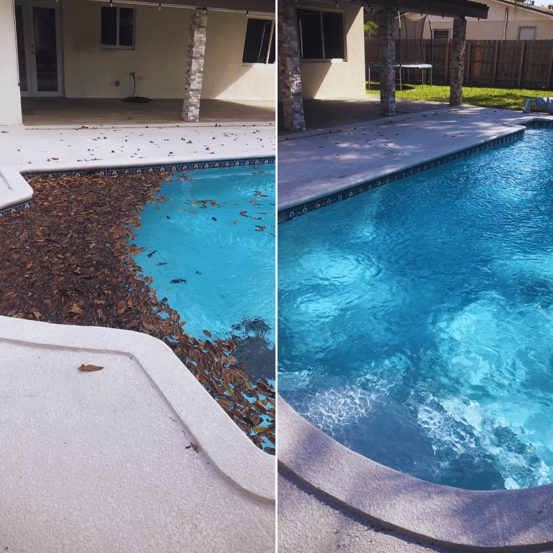 pool debris cleaning near coral gables country club