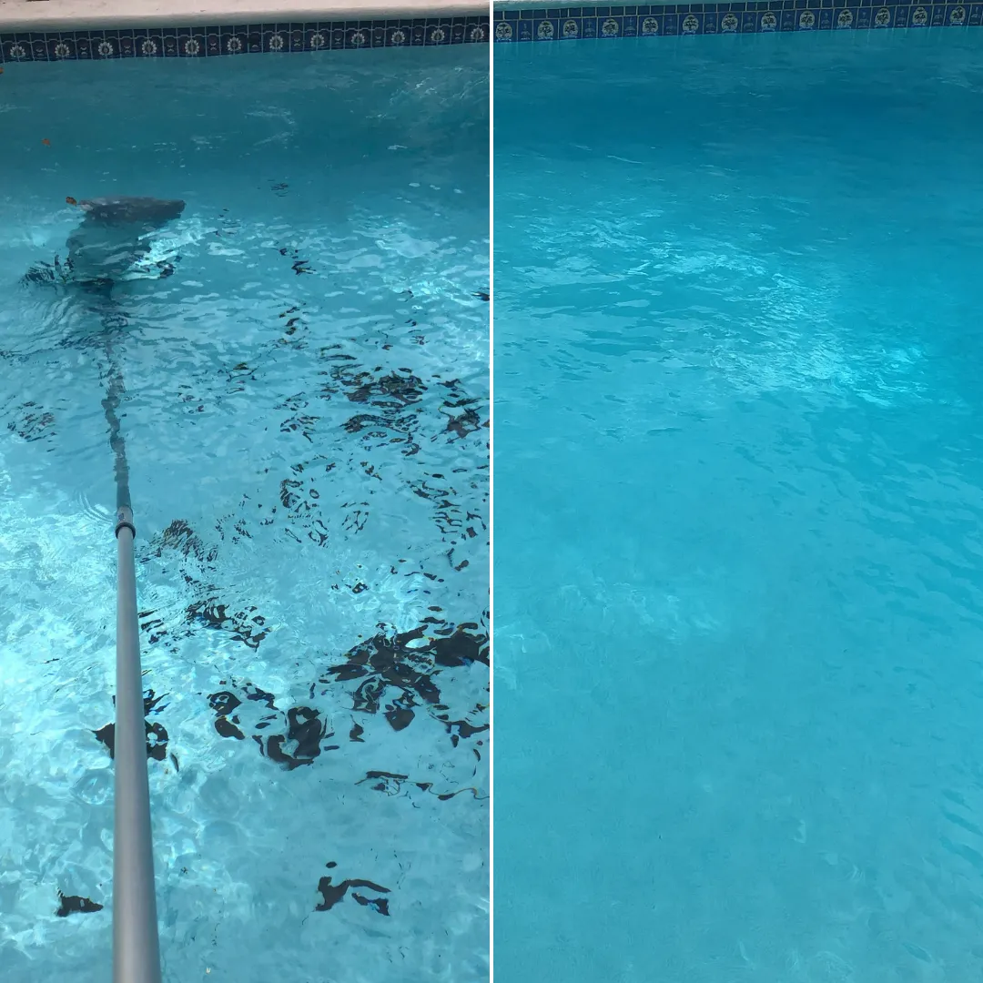 pool maintenance in miami beach